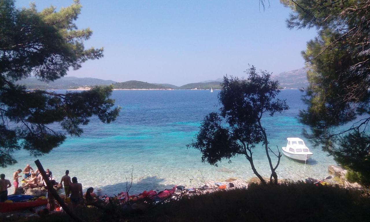 My Mediterranean Villa With Huge Garden And Own Parking Λομπάρδα Εξωτερικό φωτογραφία